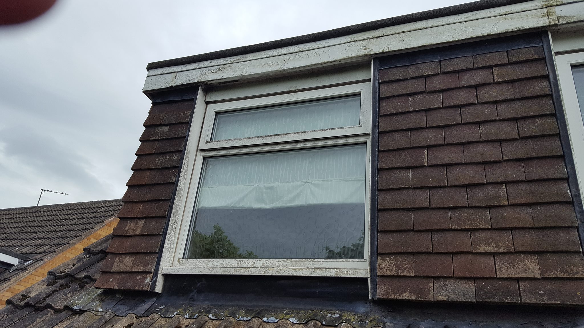 Cleanforce window cleaning project