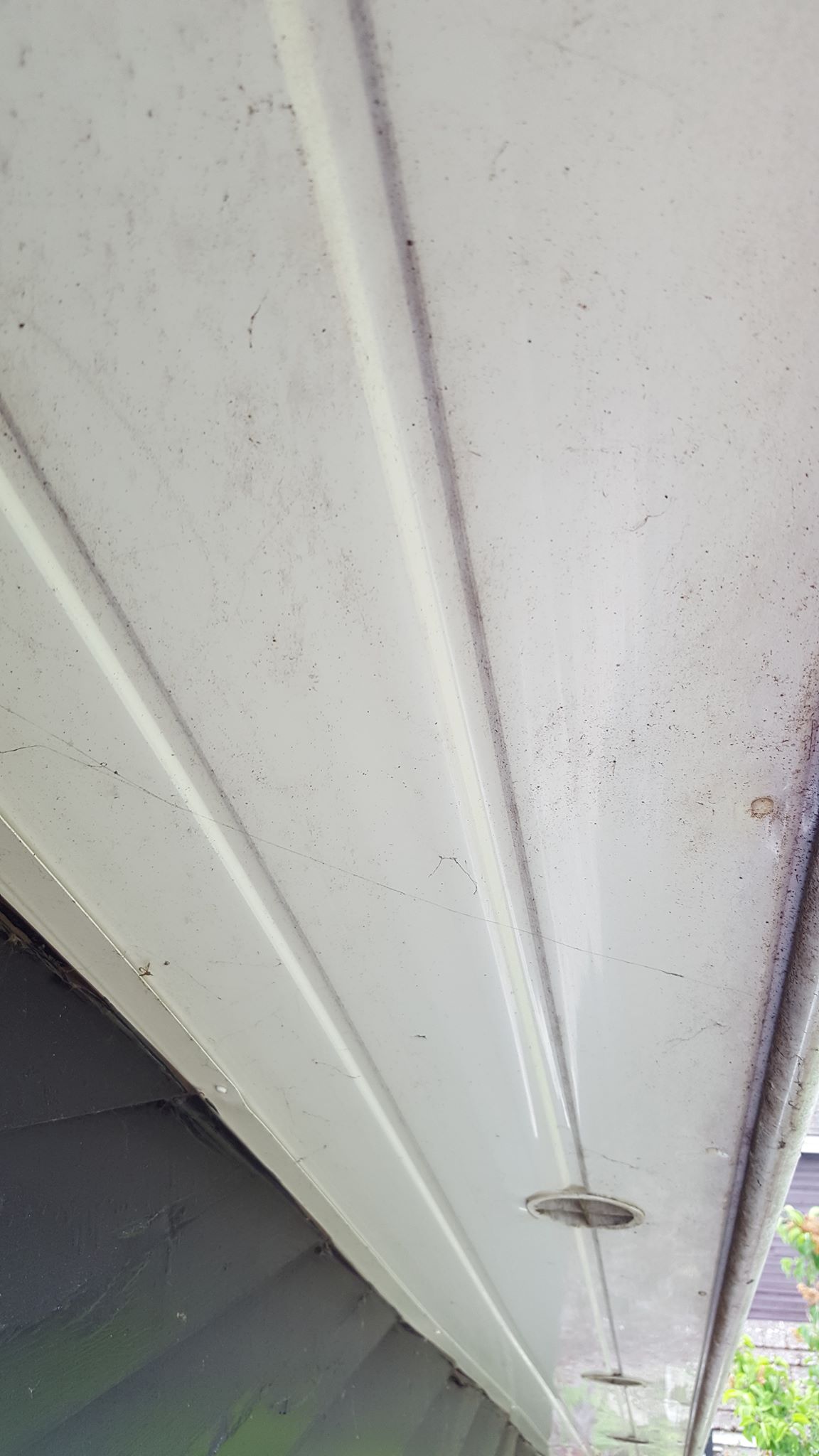Cleanforce conservatory cleaning project